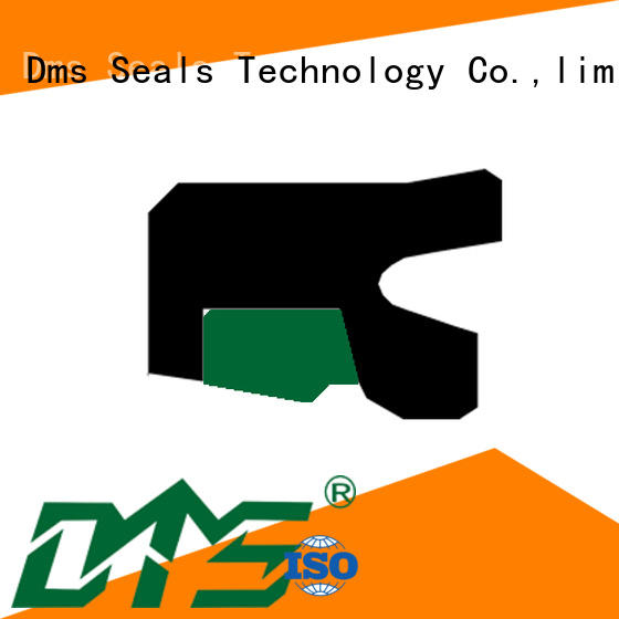 DMS Seal Manufacturer bronze hydraulic rod seals online mdi to high and low speed