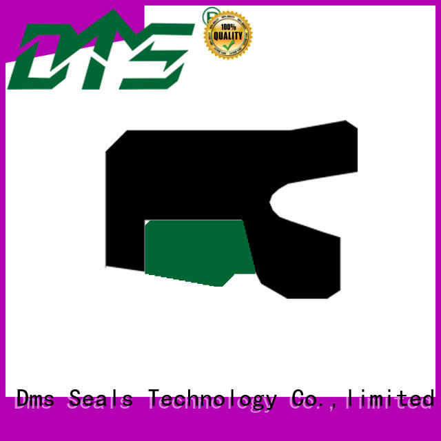 rod seal catalogue with nbr or pu for sale DMS Seal Manufacturer