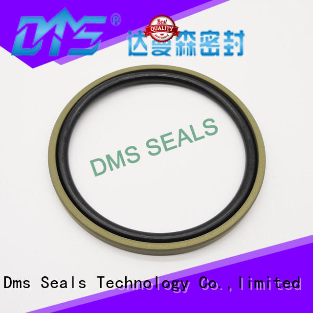 piston hydraulic cylinder piston ring for piston and hydraulic cylinder DMS Seal Manufacturer