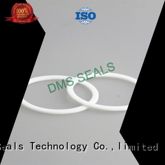DMS Seal Manufacturer gasket ptfe gasket material plastic for liquefied gas