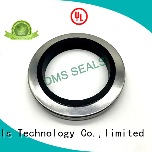 DMS Seal Manufacturer Oil Seals with integrated spring for sale